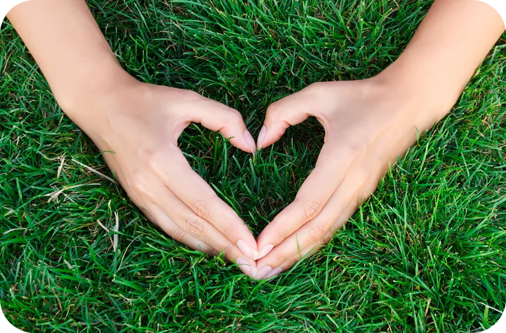 Grass with hands making a heart shape