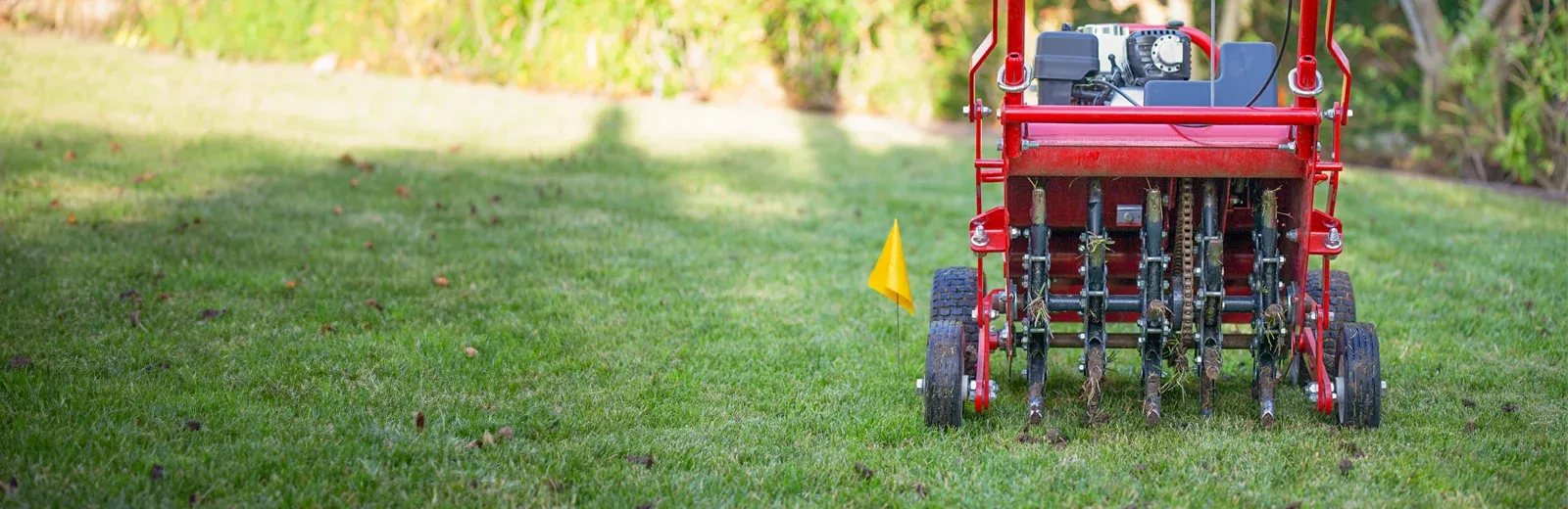 tech aerating lawn