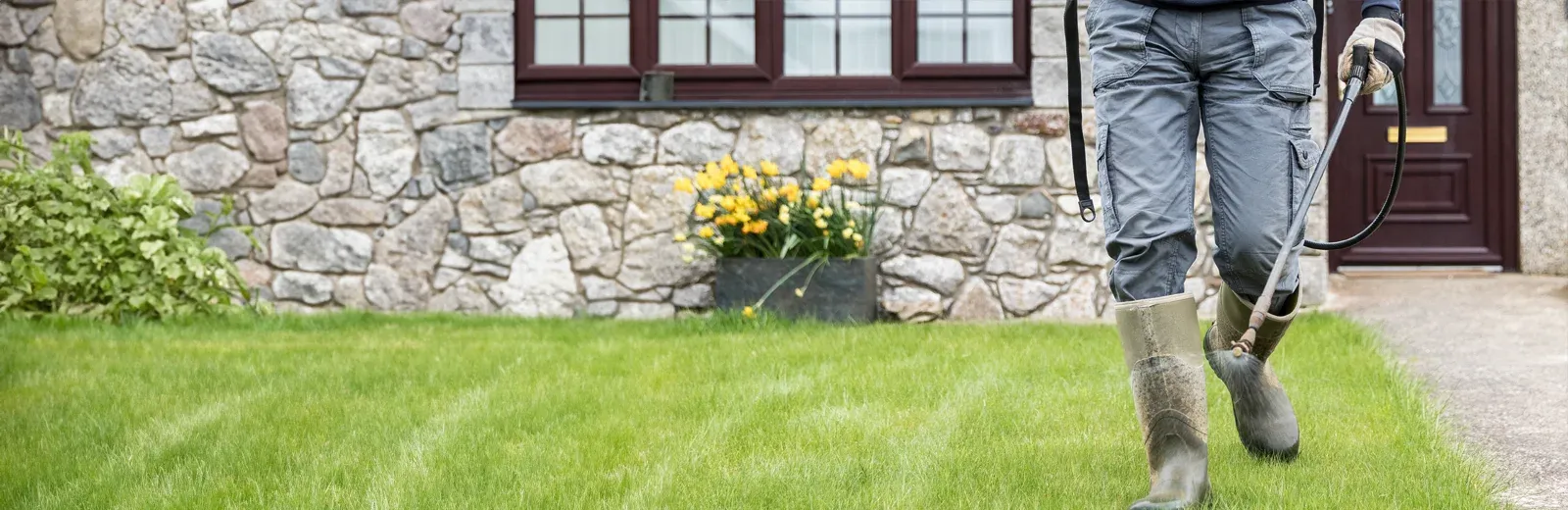 tech spraying weeds in lawn