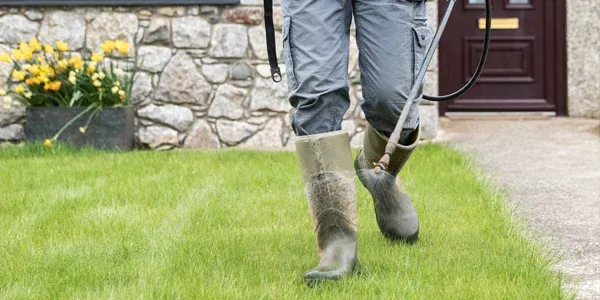 tech spraying weeds in lawn